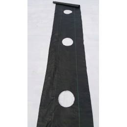 Agroaudiniai skyles po tuje fi15cm kas 60cm 0 8x50m