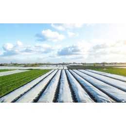 Danga agrotekstile balta spyruoklė uv 20g/m2 1,6mx10m