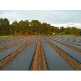 Klojimas ir tvirtinimas