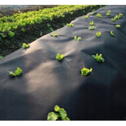 Klojimas ir tvirtinimas