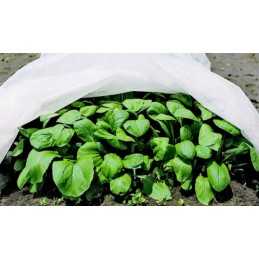 Agrotekstilė, apsaugantis nuo šalčio audinys, 3,2 cm pločio, baltas