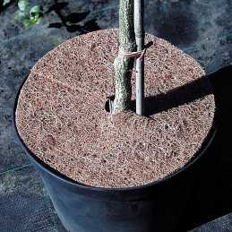 Kokoso diskeliai 37 cm - 1 vnt