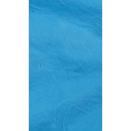 Lehmann 1400w 30l baseino dulkių siurblys baseinų ir tvenkinių valymui