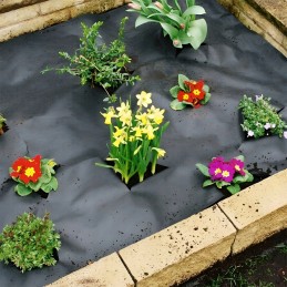 Agromedžiaga augintas audinys juodas 1 1 x100 m 70 g m2