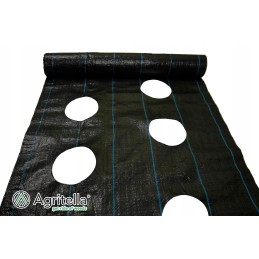 ✨Agritella audinys nuo piktžolių su skylutėmis sodinimui