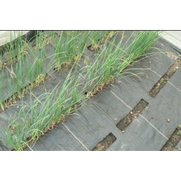 ✅ stipri agrotekstilė 1,1x100m 70g storio agrotekstilė