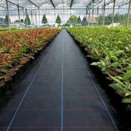Augintas sodo kilimėlis agrotekstilė 1 1 x 100 m