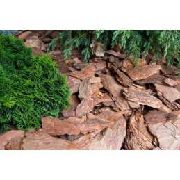 ✨ Agritella nuo piktžolių mulčiavimo agromedžiaga metrais