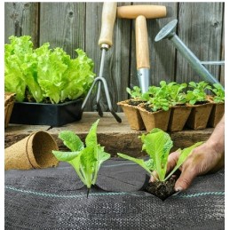 Stiprus nuo piktžolių kilimėlio agrotekstilė 0,8 m x 50 m nemokamai 50 vnt inkarų - laikina akcija