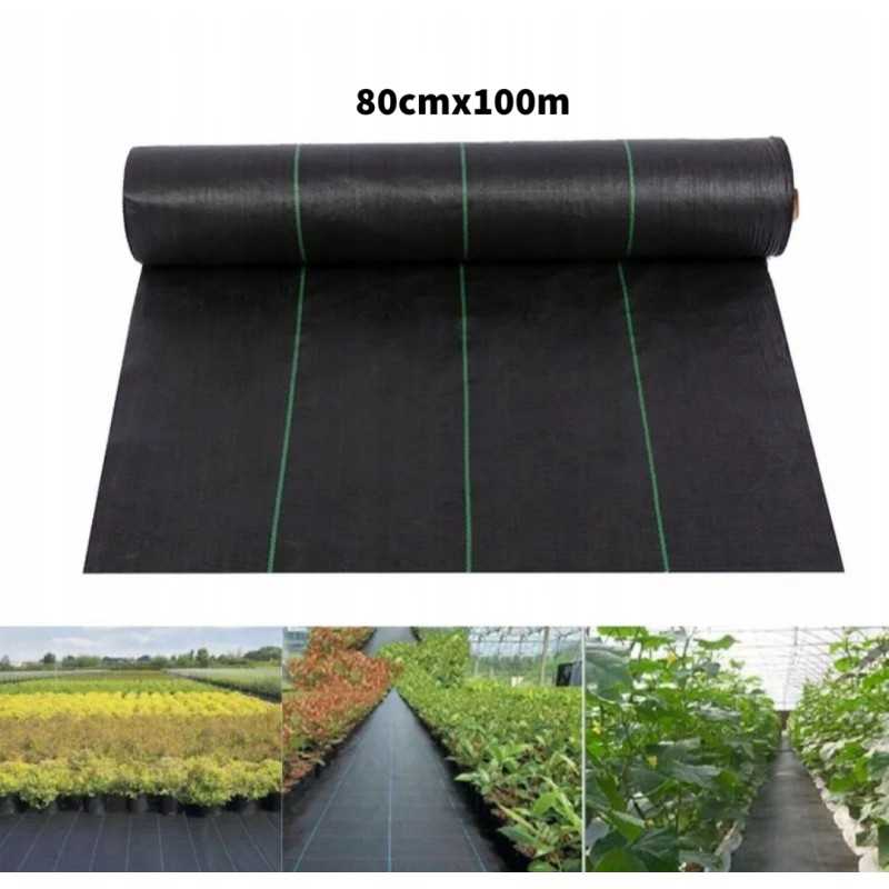 Agrowwoven audinys 80cmx100m nuo piktžolių