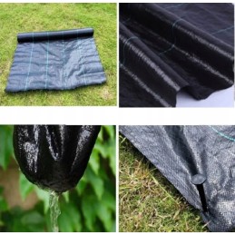 Agrowwoven audinys 80cmx100m nuo piktžolių