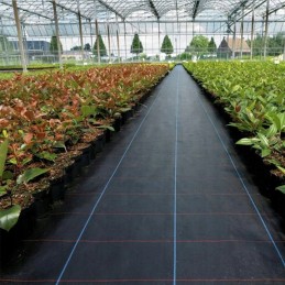 ⭐⭐Storos aukščiausios kokybės agrotekstilė nuo piktžolių agrotekstilė 1,1x50m 90g/m2 smeigtukai⭐⭐