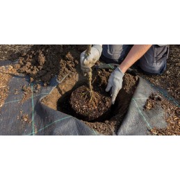 Juodas nuo piktžolių agrotekstilės skardenas 90g 1,1x50m