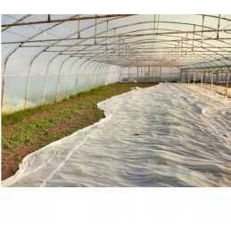 Agrotekstilė, balta, sodo spyruoklinis kilimėlis, 1,6 x 10 m, atsilikimas dengimui