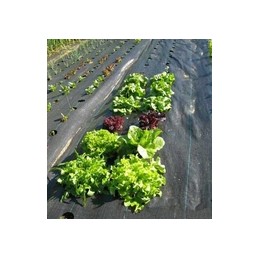 Agrotekstas nuo piktžolių, kilimėlis nuo piktžolių, agrotekstilė 70g/m2 0,8x100m