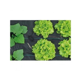 Agrotekstas nuo piktžolių, kilimėlis nuo piktžolių, agrotekstilė 70g/m2 0,8x100m