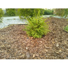 Ruda nuo piktžolių agrotekstilė 50g agrotekstilė piktžolėms uv+ 3,2x30m