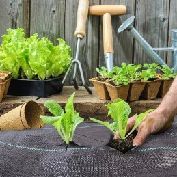 Kilimėlis nuo piktžolių, agroaudinis, žievei, piktžolių naikinimui, juodas, 50 m