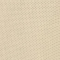 Apsauginiai gobtuvai su užtrauktuku 2vnt 70 g m2 2 36x2 m