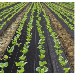 Agrotkanina mulčiavimo kilimėlis nuo piktžolių