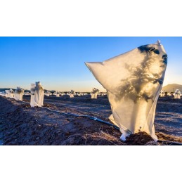 Agrotextile winter hood white 50x50cm 50g 30pcs