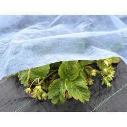 Balta agrotekstilė 1,5m 15g/m2 su UV 15m bellushortus