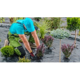 Agrotekstilė nuo piktžolių 100g 0,6x100m agrotekstilė piktžolėms