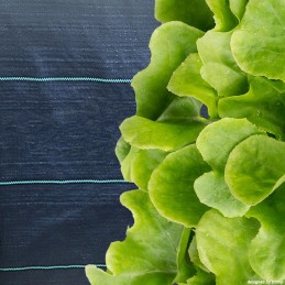 Agrotkanina heva kilimėlis nuo piktžolių ritinys 1,1x50m, svoris 90g/m2