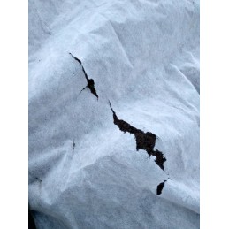 Augintas audinys žieminis agropol uv p 50 1 6x50m baltas