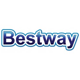 Sodo baseinas ant Bestway rėmo 3x2m su intex kamuoliuku