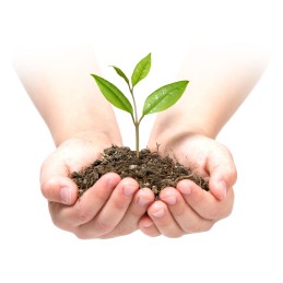 Plonos sodo agrotekstilė 1 m x 75 m + 100 smeigtukų