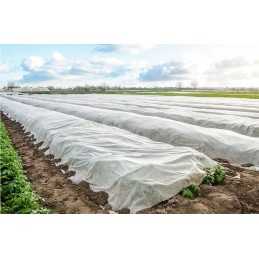 Pavasario-žiemos balta agrotekstilė 1,6 x 5 m / 30g / m2