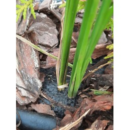 Tvirtas agrarinis audinys 0,8x100m sodo kilimėlis 90g/m²