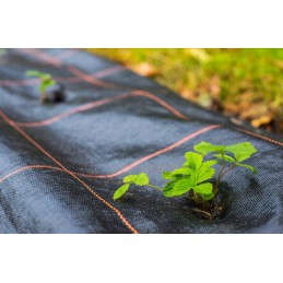 Tvirtas agroaudinys 1 1 x 50 m tvarus aggrowoven audi Premium 90 gm galimybė