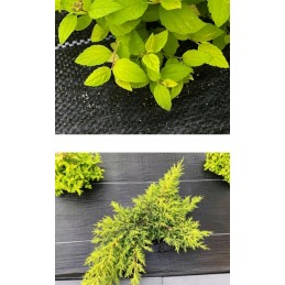 Tvirtas agroaudinys 1 1 x 50 m tvarus aggrowoven audi Premium 90 gm galimybė