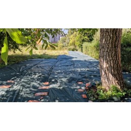 Augintas audinys žalias 1 6m 50g uv 100m bellushortus