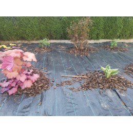 Juodas nuo piktžolių agrotekstilės skardenas 70g 1,6x50m