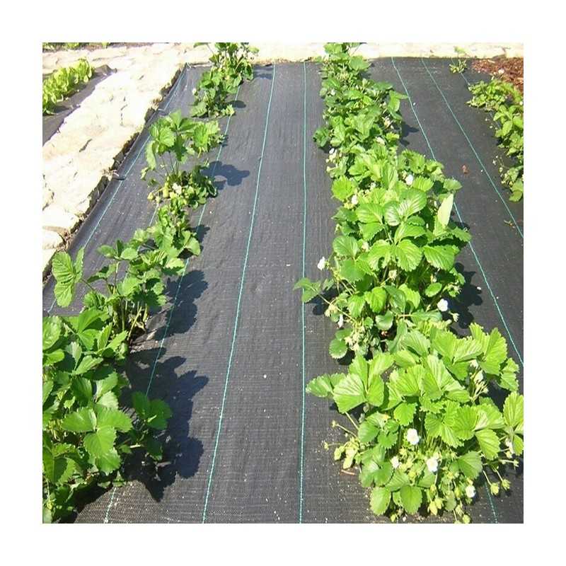Agrotekstilė piktžolės 40cm x 50m storis 70g m2 uv
