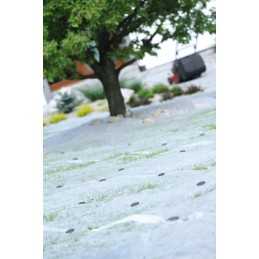 Kaiščiai tvirtinami prie žemės