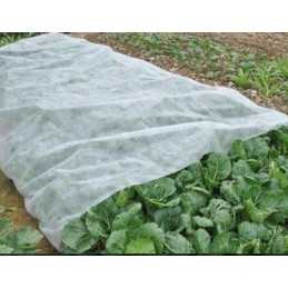 Agrotekstilės spyruoklinis dengiamasis kilimėlis 1,6x10 baltas braškėms ar daržovėms