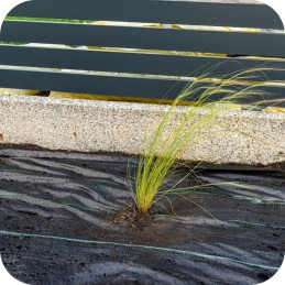 Agrotkanina agrotekstilė 70g 1,6 x 100m juoda + UV smeigtukai 3% nuo piktžolių