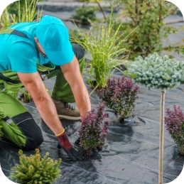 Agrotkanina agrotekstilė 70g 1,6 x 100m juoda + UV smeigtukai 3% nuo piktžolių