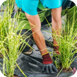 Agrotkanina agrotekstilė 70g 1,6 x 100m juoda + UV smeigtukai 3% nuo piktžolių