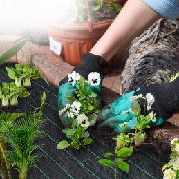 Stora agrotekstilė 1,5x100m 70 g/m² nuo piktžolių