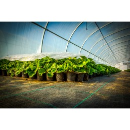 Agrotekstilė piktžolės 60 cm x 100 m stiprus 90g m2 uv