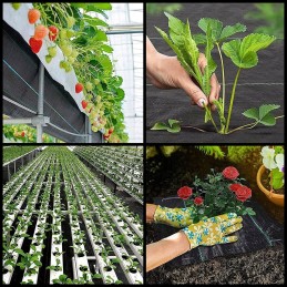 Pristatome agrotekstilę 70g/m² 1,6m x 100m su 100 laisvų kaiščių