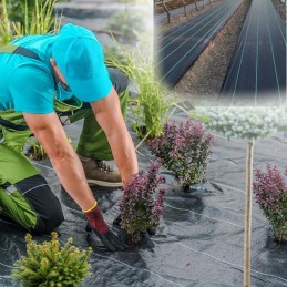 Pristatome agrotekstilę 70g/m² 1,6m x 100m su 100 laisvų kaiščių