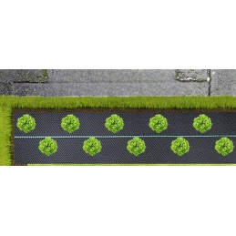 Pristatome agrotekstilę 70g/m² 1,6m x 100m su 100 laisvų kaiščių