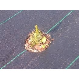 Žemės ūkio audinys piktžolėms 1 eilės skylės 40 cm x 100 m