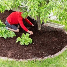 Agrotextile garden mat agrotextile black winter 50 mx 1.6 m 90 g